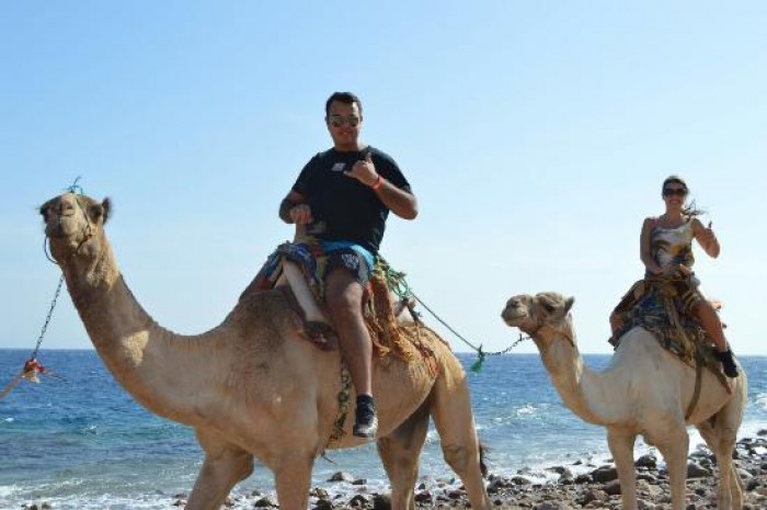 Snorkling vid Wadi El Gemal nationalpark